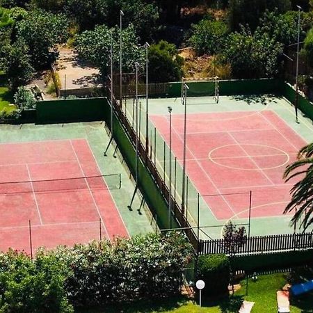 Verano Eterno En Mallorca - Alcudia! Exterior foto