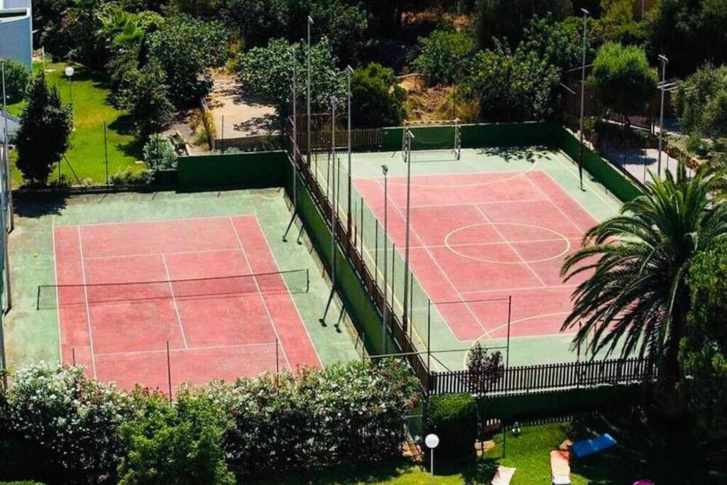Verano Eterno En Mallorca - Alcudia! Exterior foto